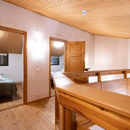 Roggenecke - Pyhae Holysuites - Cosy Ski-In & Ski-Out Apartment With Scenic Views In The Heart Of The Ski Resort